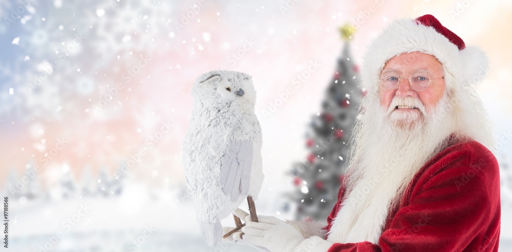 圣诞老人抱着猫头鹰的合成图像