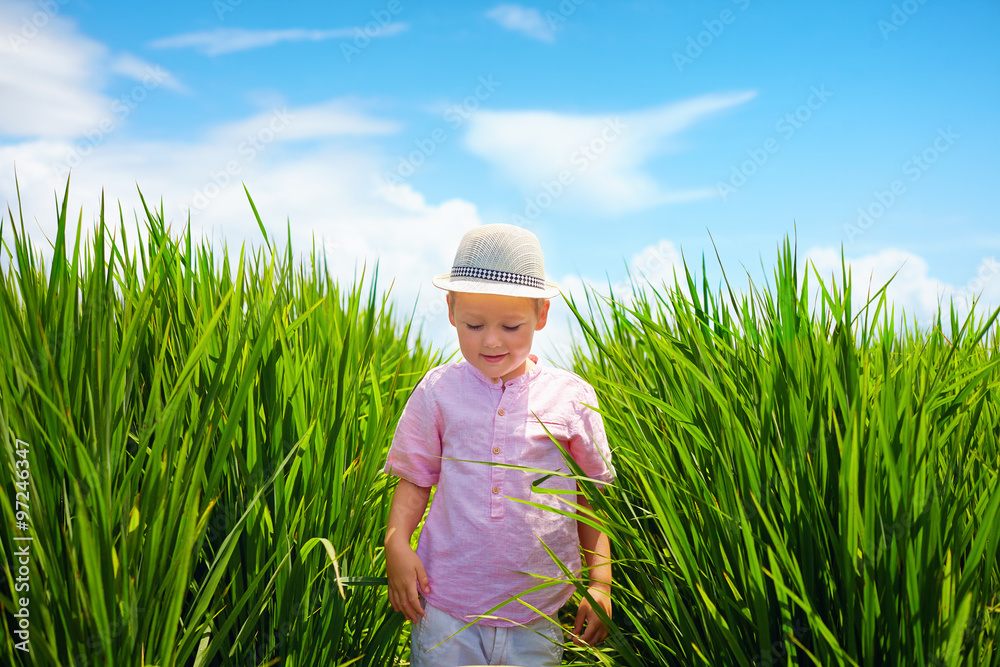 穿过稻田的可爱小男孩