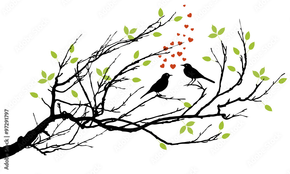 两只鸟在树枝上相爱