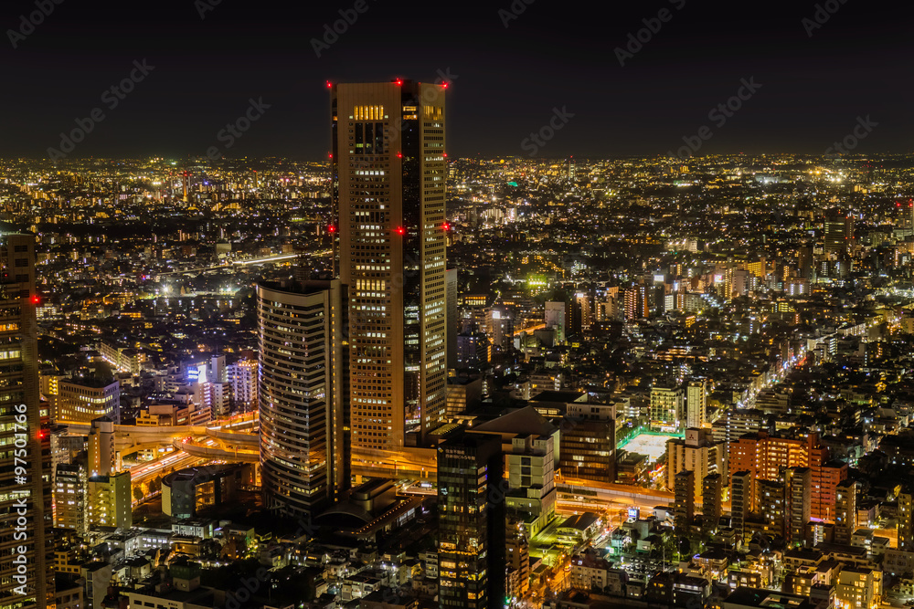 新宿のからの夜景　Night view of the Tokyo Shinjuku