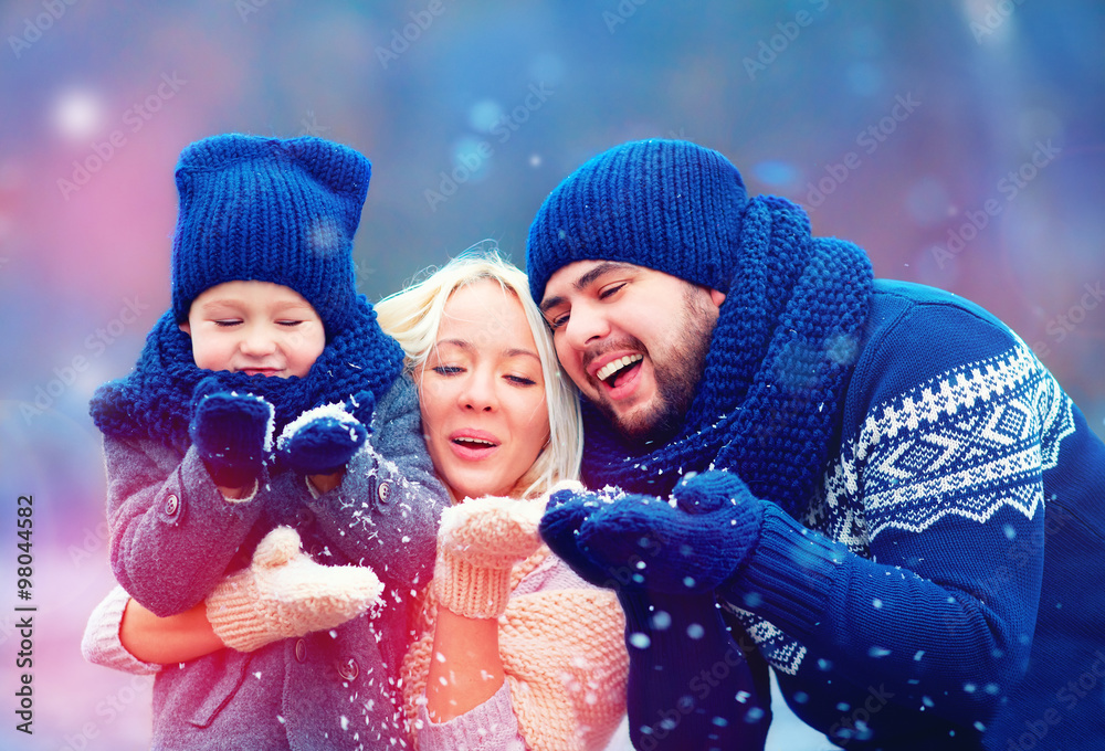 幸福家庭吹冬雪画像