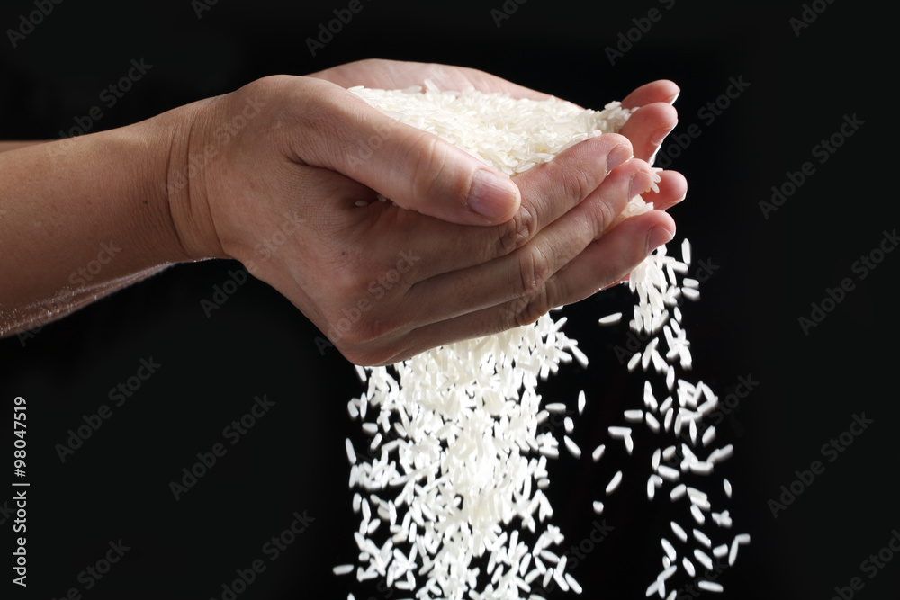 黑色背景下分离的手持米粒。