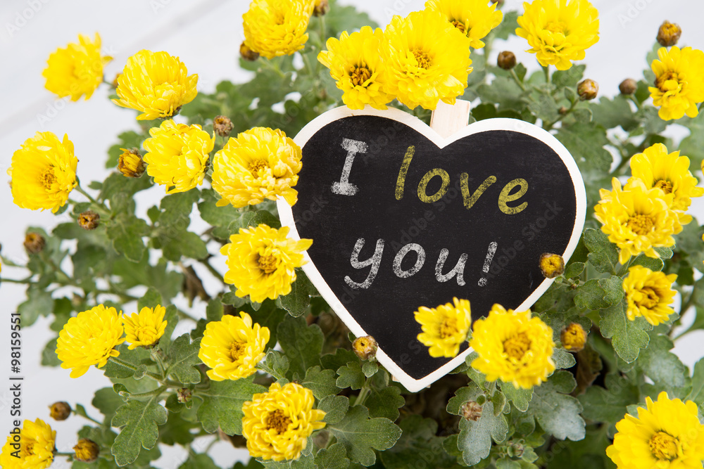 我爱你——一束带心形信息卡的鲜花