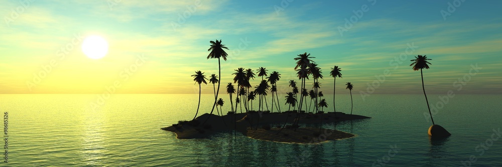 海洋日落全景。岛屿和椰子树