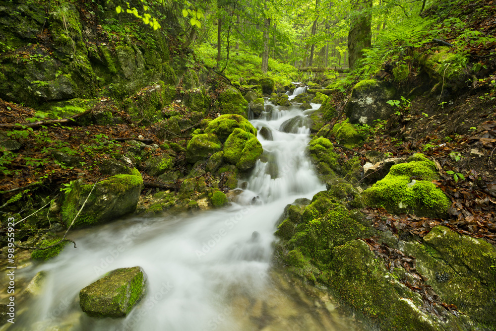 Waterfall in a lush gorge in Slovenský Raj, Slovakia