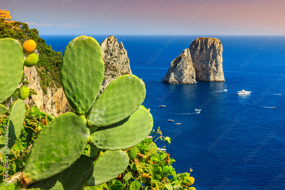 令人惊叹的卡普里岛与法拉格里尼悬崖，意大利，欧洲