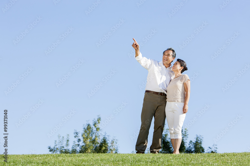幸福的成熟夫妇在公园里看风景