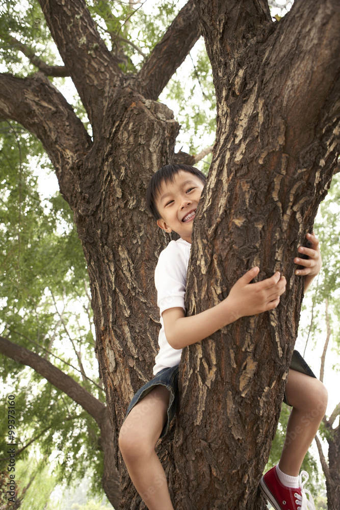 小男孩在公园里爬树