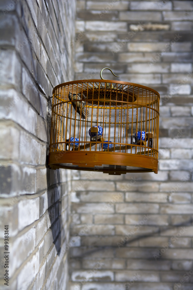 吊笼中的鸟，北京虎亭，中国