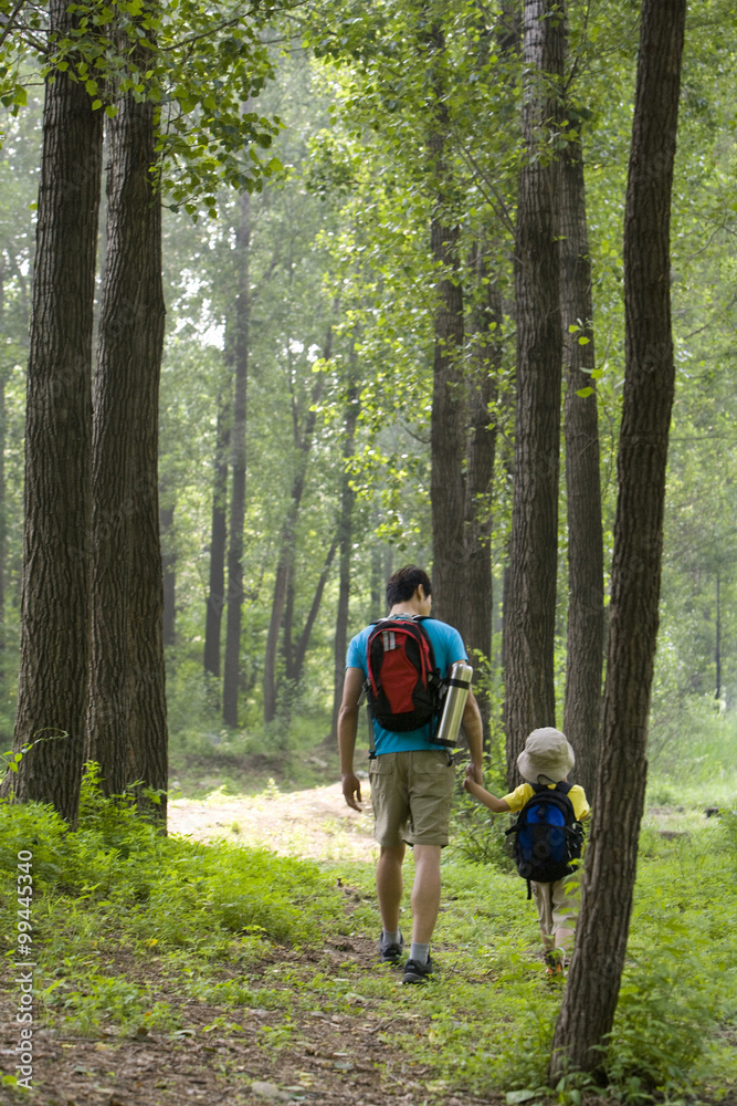 父子徒步穿越森林