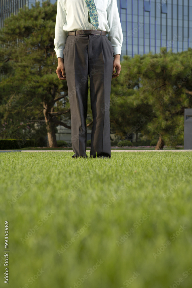 Portrait Of A Businessman Standing In Park