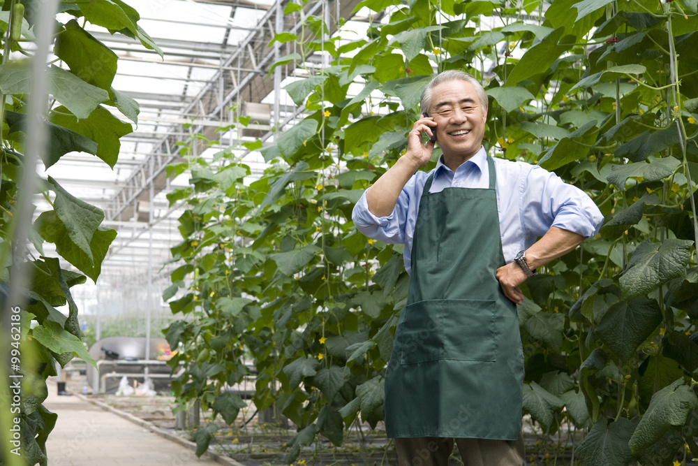 Farmer talk on the phone in modern farm