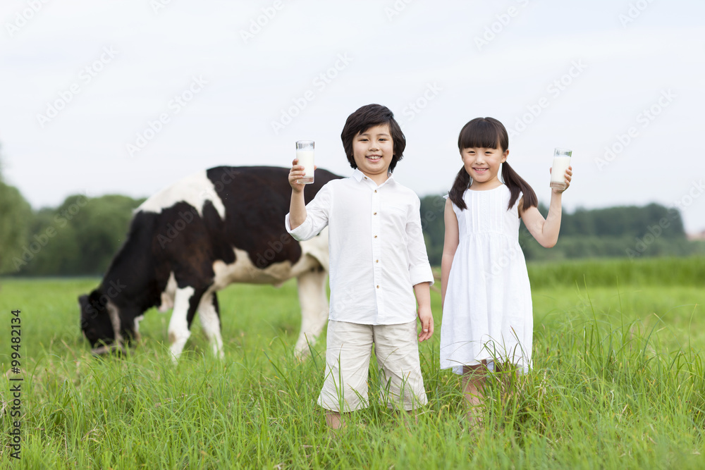 快乐的孩子们拿着一杯牛奶，牛群在牧场上吃草