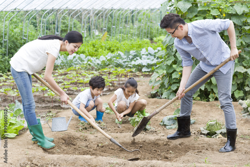 年轻家庭一起园艺