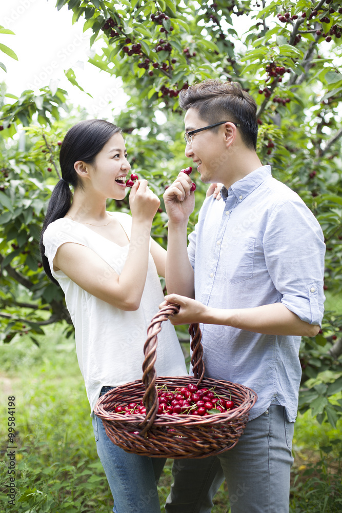 年轻夫妇在果园里摘樱桃