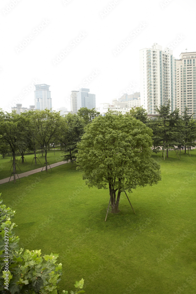 上海城市绿地