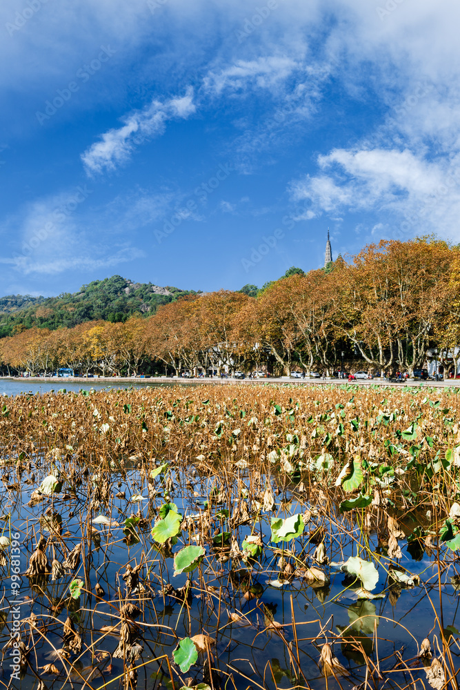 秋天的杭州西湖美景，中国