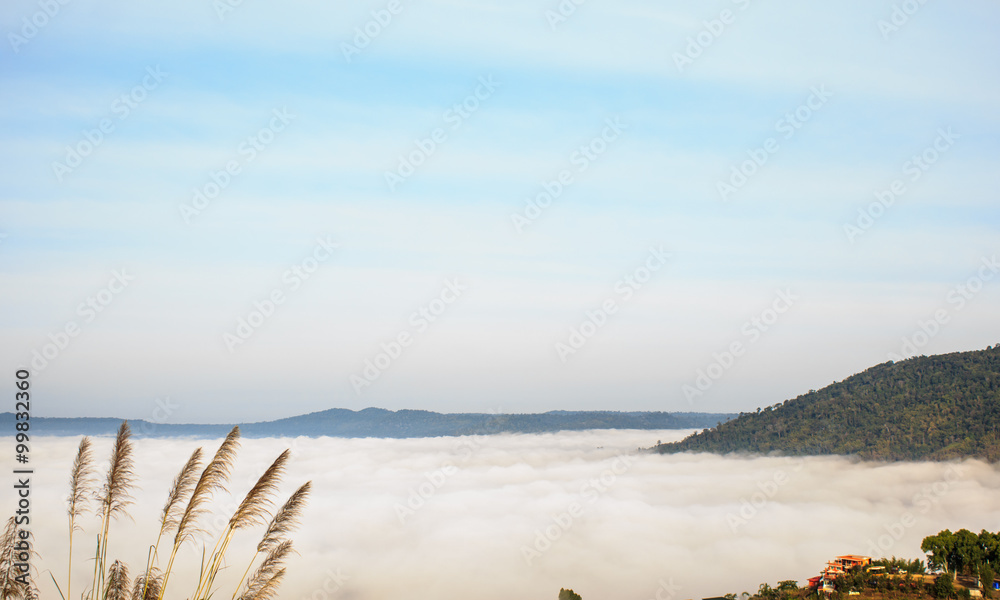 泰国Phetchabun省考霍山上的晨雾