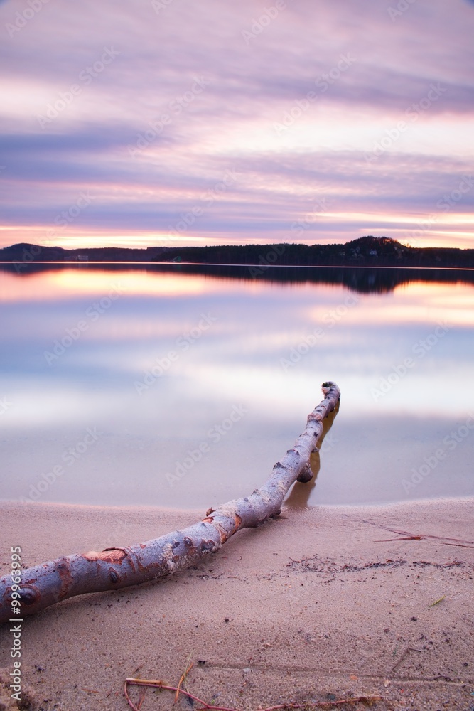 Long exposure of lake shore with dead tree trunk fallen into water Autumn evening after sunset.
