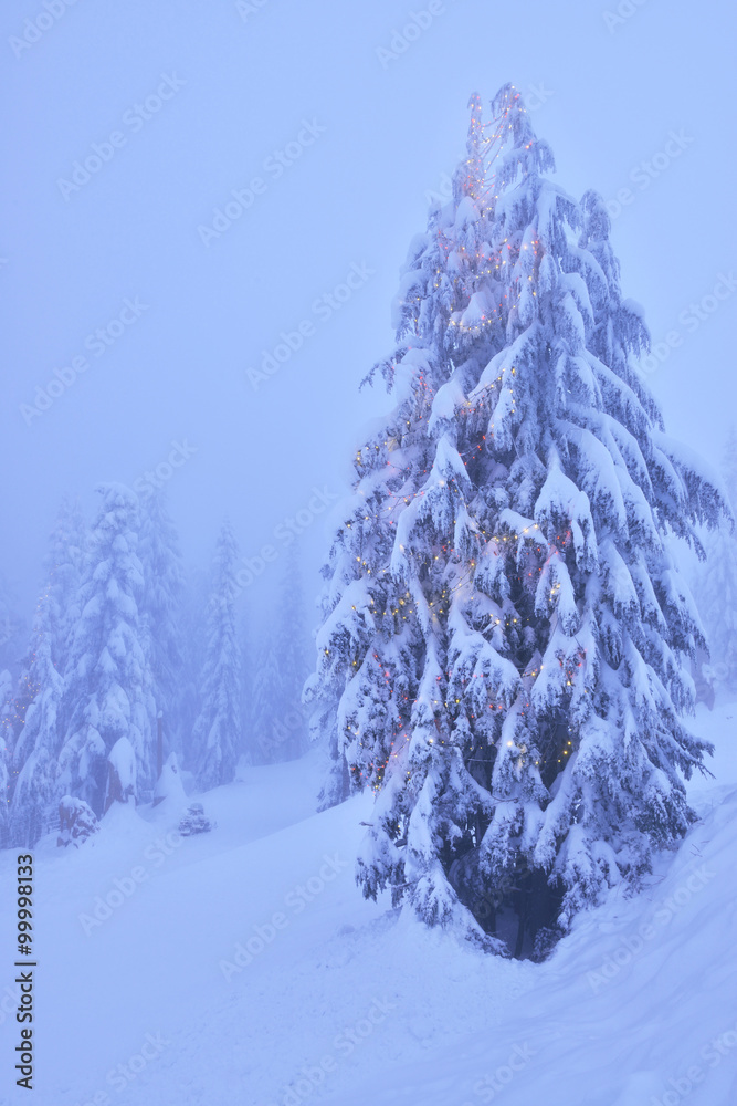 雪山森林里有灯的圣诞树