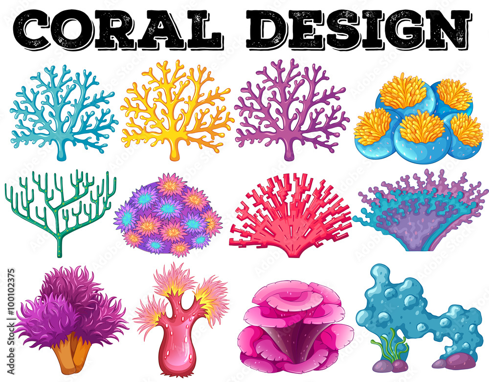 不同种类的珊瑚设计