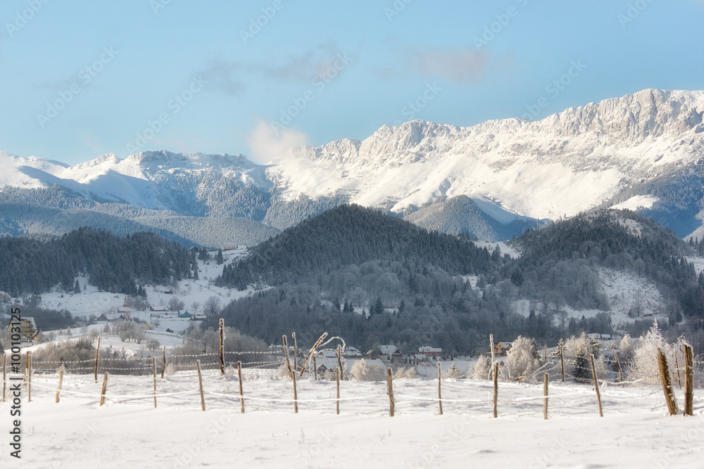 冬季阳光明媚的一天，在特兰西瓦尼亚的野生山丘上。罗马尼亚。低调，深色背景，聚光灯，