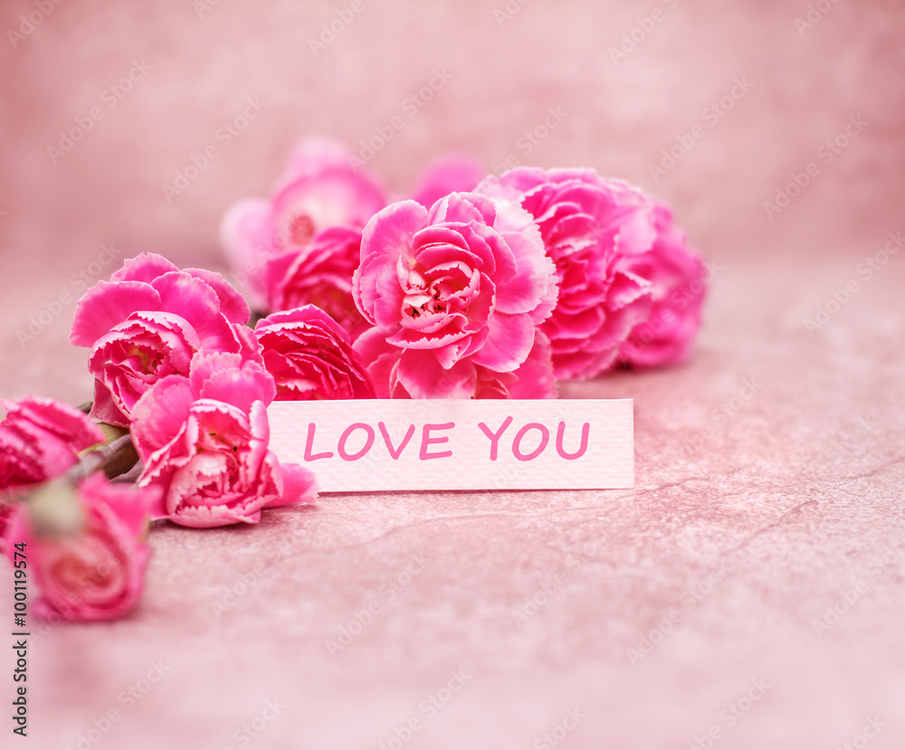 美丽绽放的康乃馨花，上面写着爱你