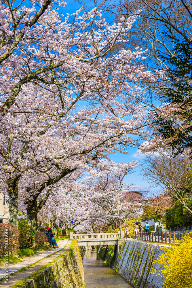春季，哲学家们在日本京都漫步。