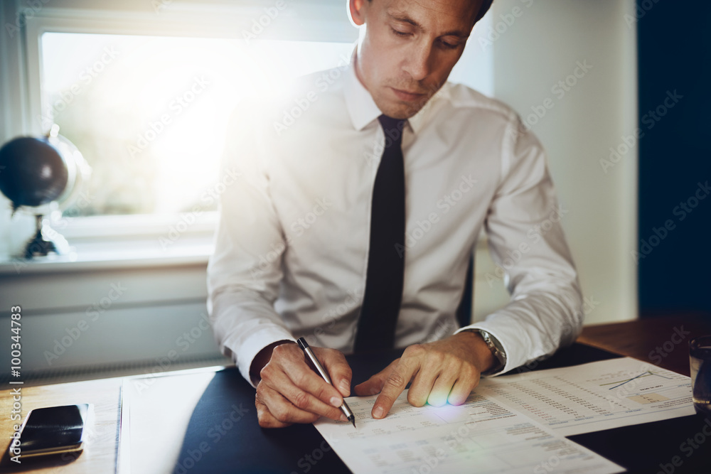Executive male working at desk