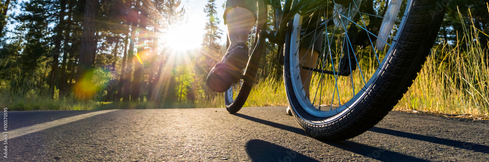 阳光照耀下的柏油路上的自行车