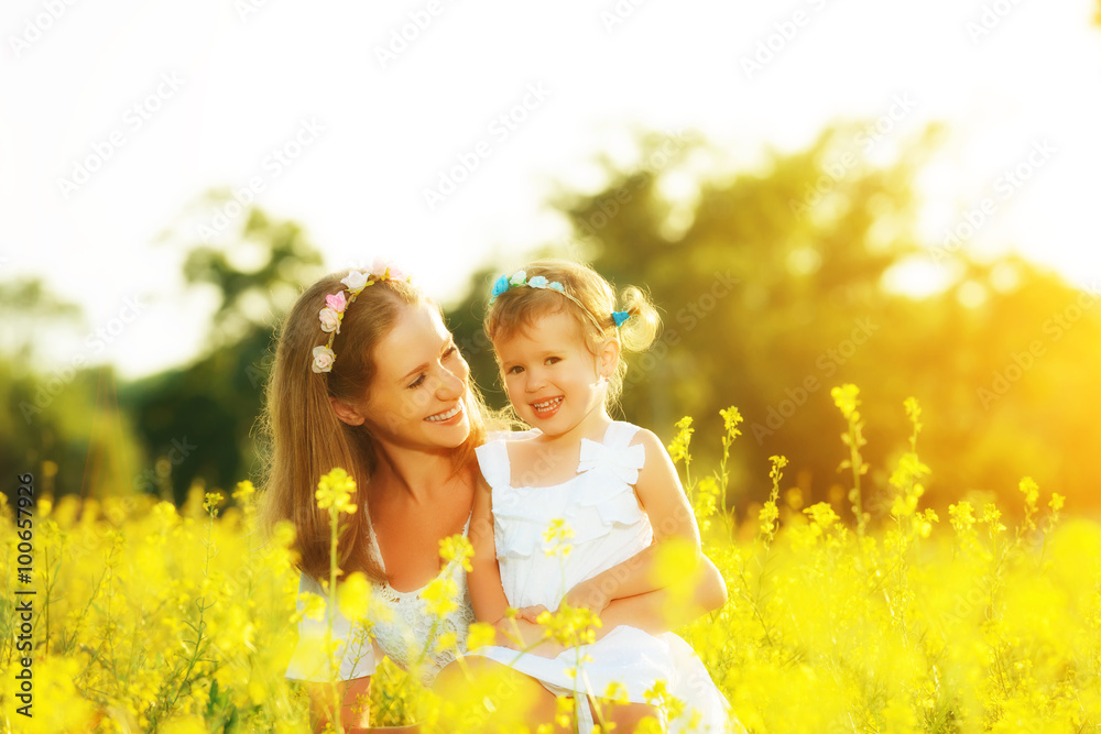 夏日草地上的幸福家庭，母亲拥抱小女儿ch