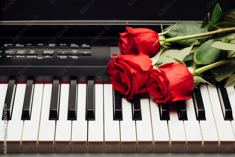 钢琴键和红玫瑰