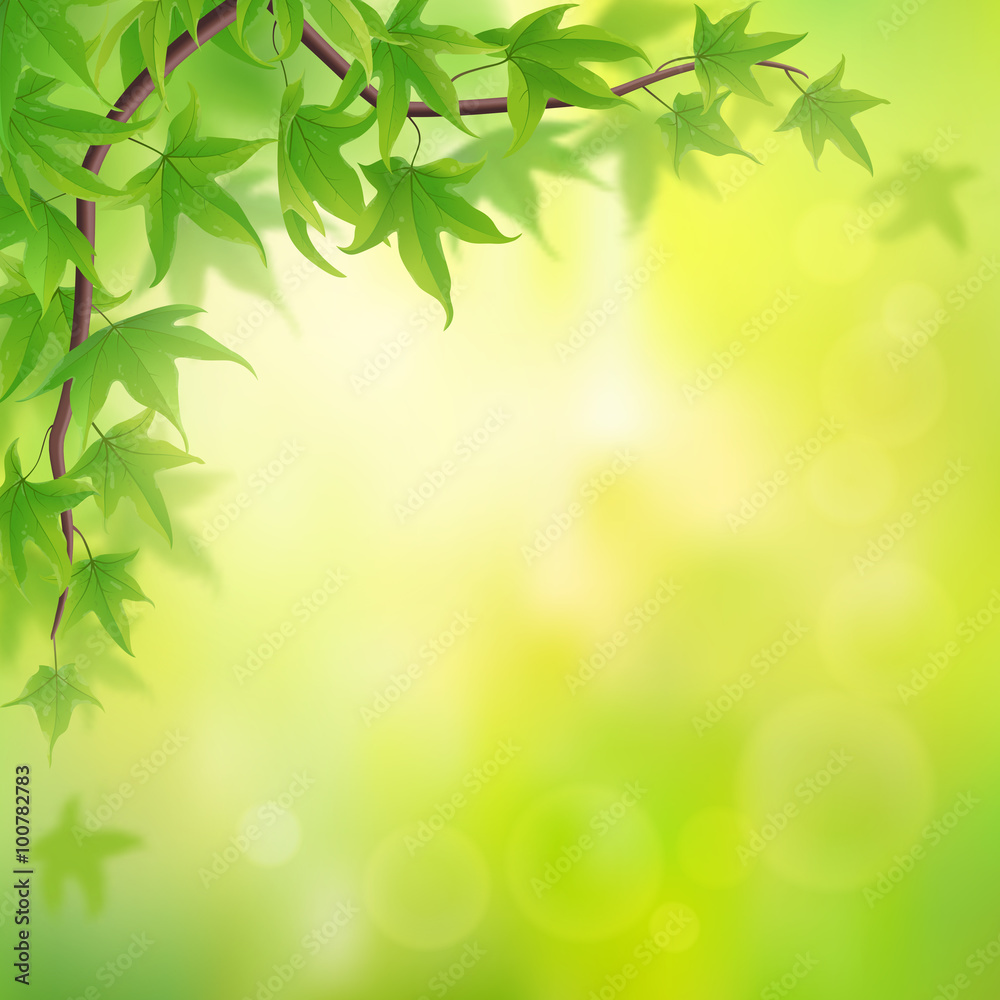 Spring background with branch of green maple leaves