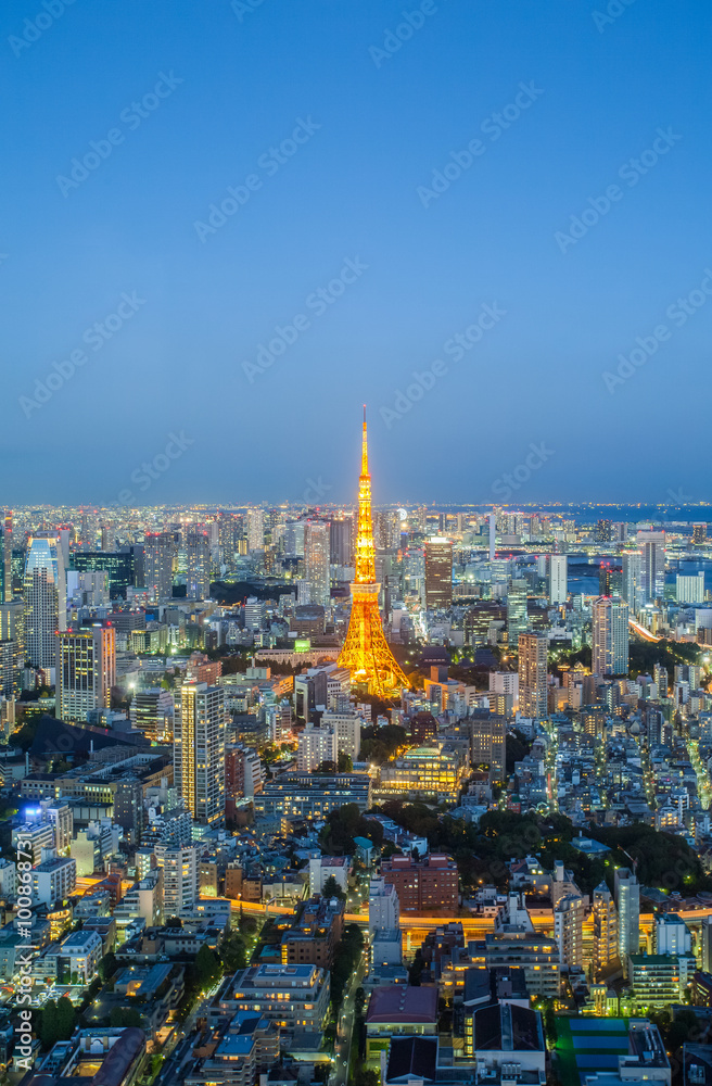 黄昏时的东京城市景观和东京塔