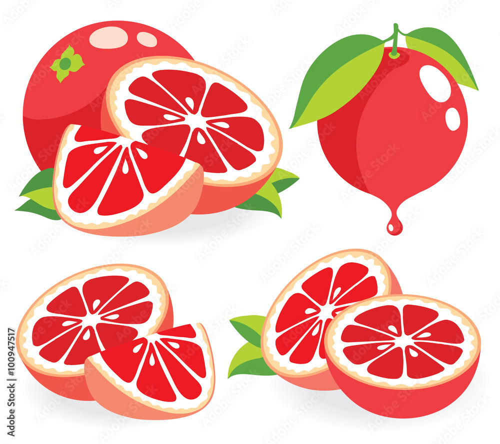 Pink grapefruits vector illustrations