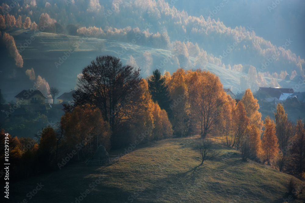 Foggy and sunny day of a autumn, on wild transylvania hills. Holbav. Romania. Low key, dark backgrou