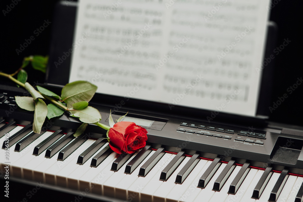 钢琴键和音乐书上的红玫瑰