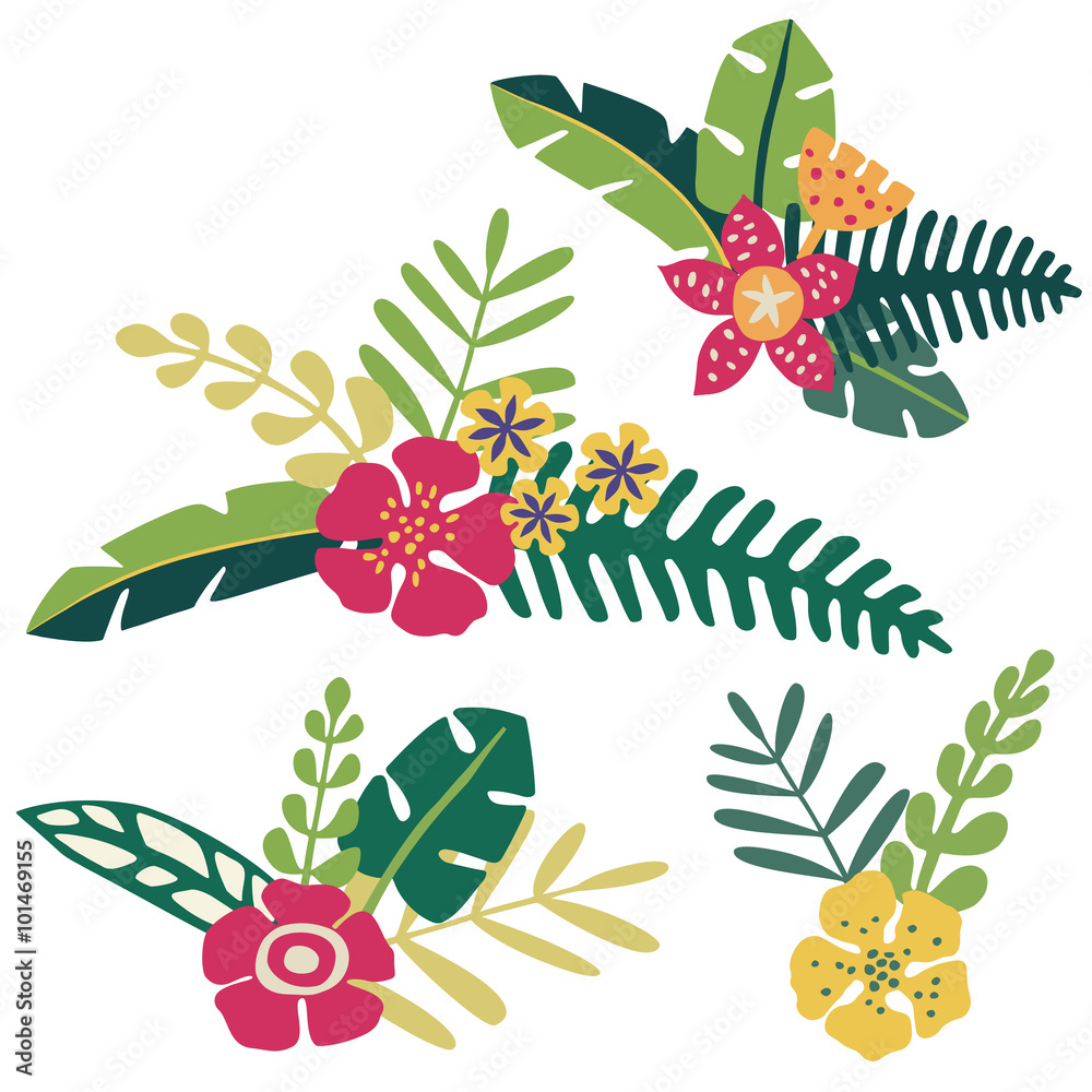 热带花卉和树叶束
