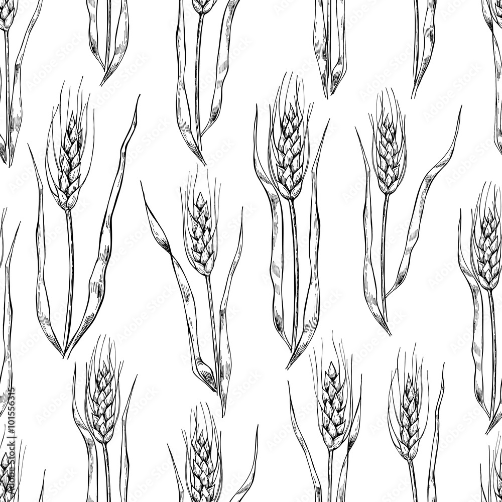 矢量手绘小麦穗无接缝图案。