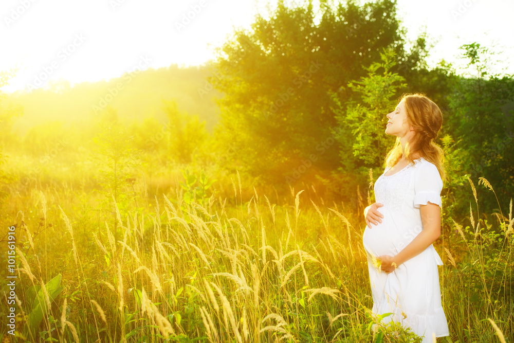 beautiful pregnant woman in summer nature meadow in sunset
