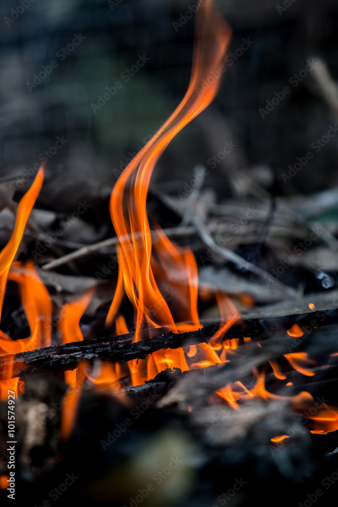 火烧木屑
