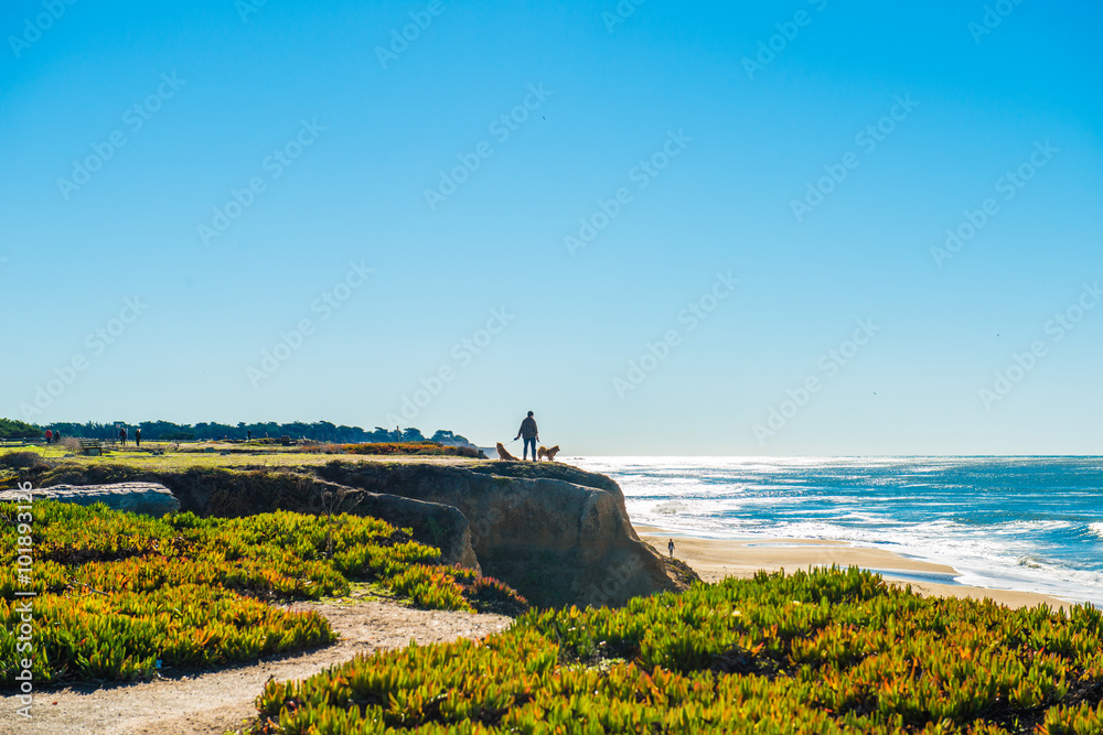 美国加利福尼亚州1号公路面向海岸线的长椅