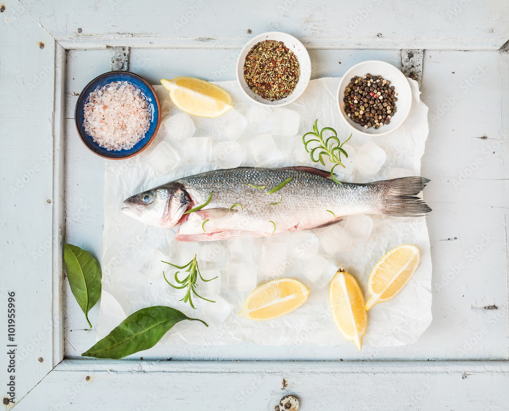 Fresh uncooked seabass fish with lemon, herbs, ice and spices on rustic blue wooden board backdrop, 