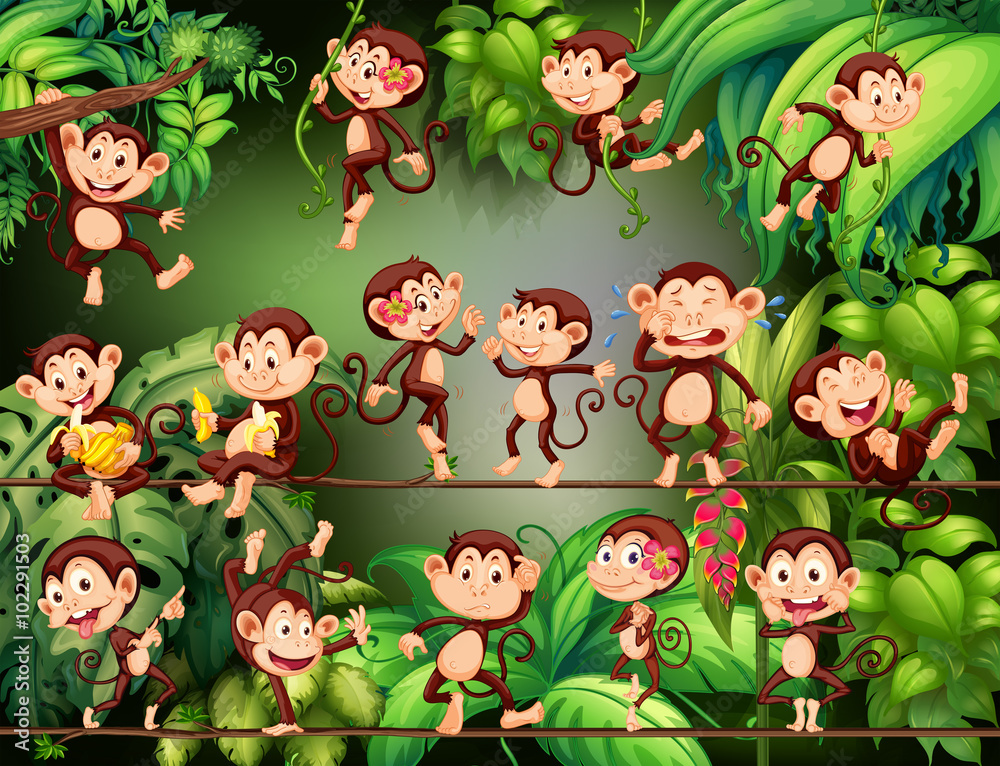 猴子在丛林中做着不同的事情