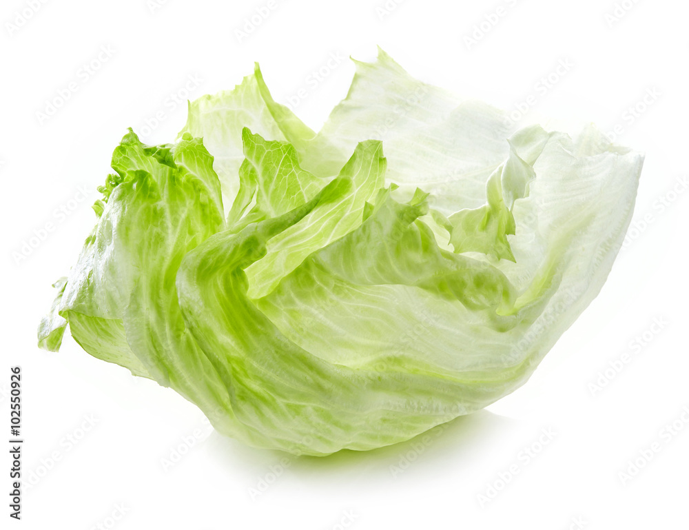 Green iceberg lettuce leaf