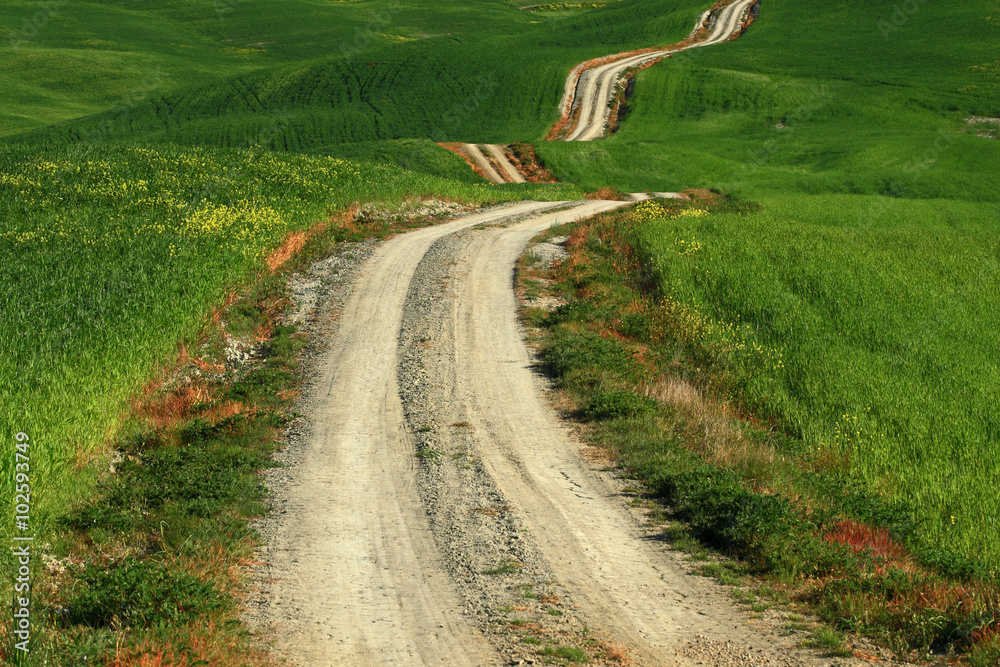 意大利托斯卡纳，一条蜿蜒曲折的乡村小路穿过山丘