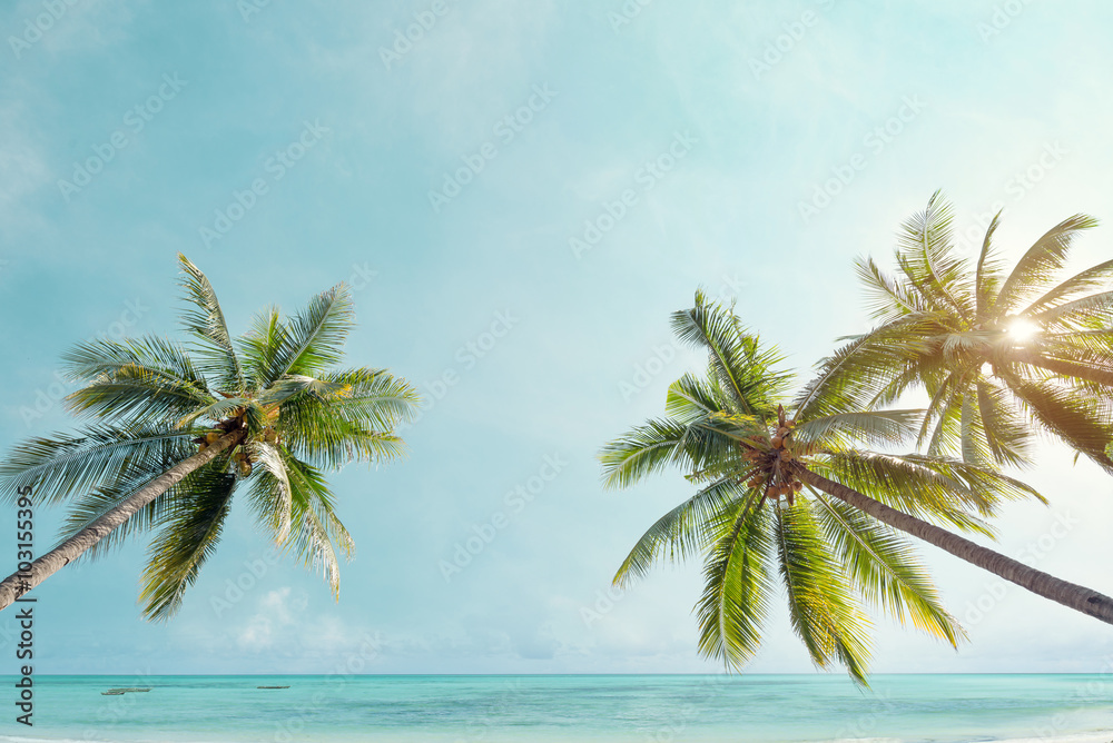 热带海岸的棕榈树，夏季海滩。复古色调风格化