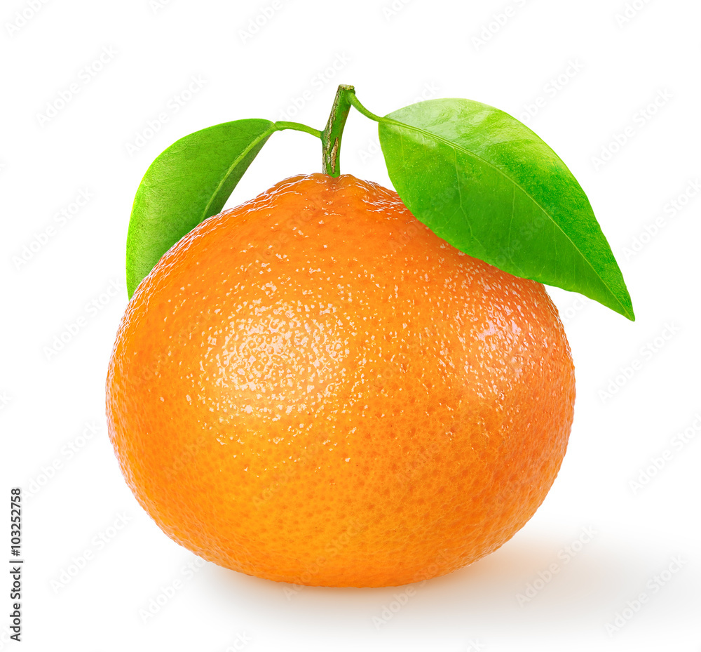 一个孤立的橘子