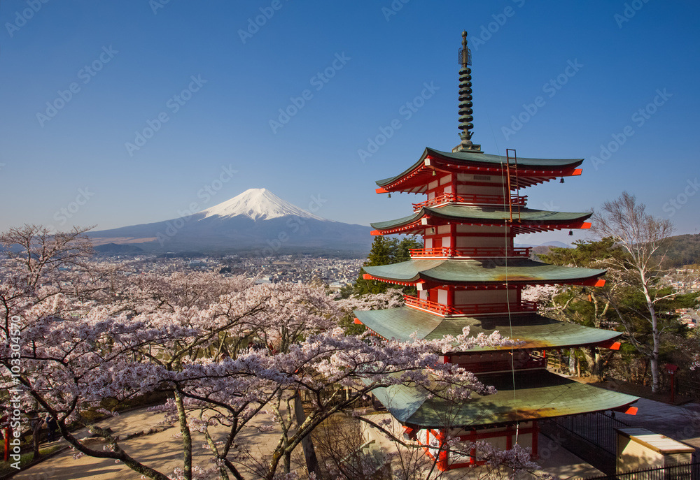 日本美丽的风景富士山和Chureito红塔配樱花樱花