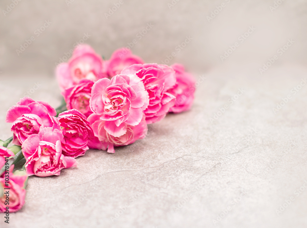 the Fresh pink carnation flower on stone plate background
